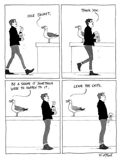 Image attached toot