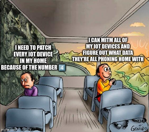 The "two guys on a bus" meme.

One is looking miserable, his view out the window is just a rock wall. He's captioned "I need to patch every IoT device in my home because of the number 4️⃣".

The other, across the aisle, is looking happy and excited; his view is over a beautiful sunny landscape. He's captioned "I can MitM all of my IoT devices and figure out what data they're all phoning home with".